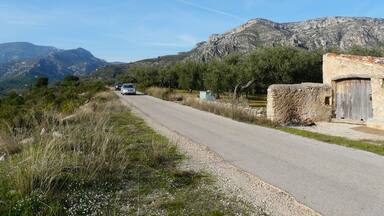 A rural road flanked by olive trees and a stone wall, leading towards a mountain range.