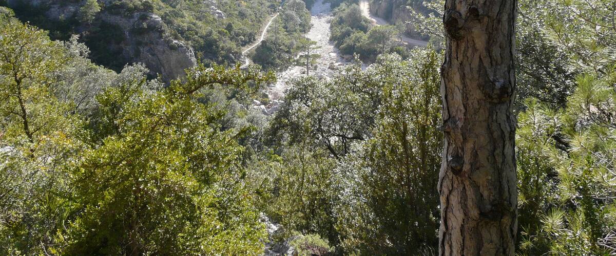 This is a a photo of a natural area in Catalonia, Spain, with id: