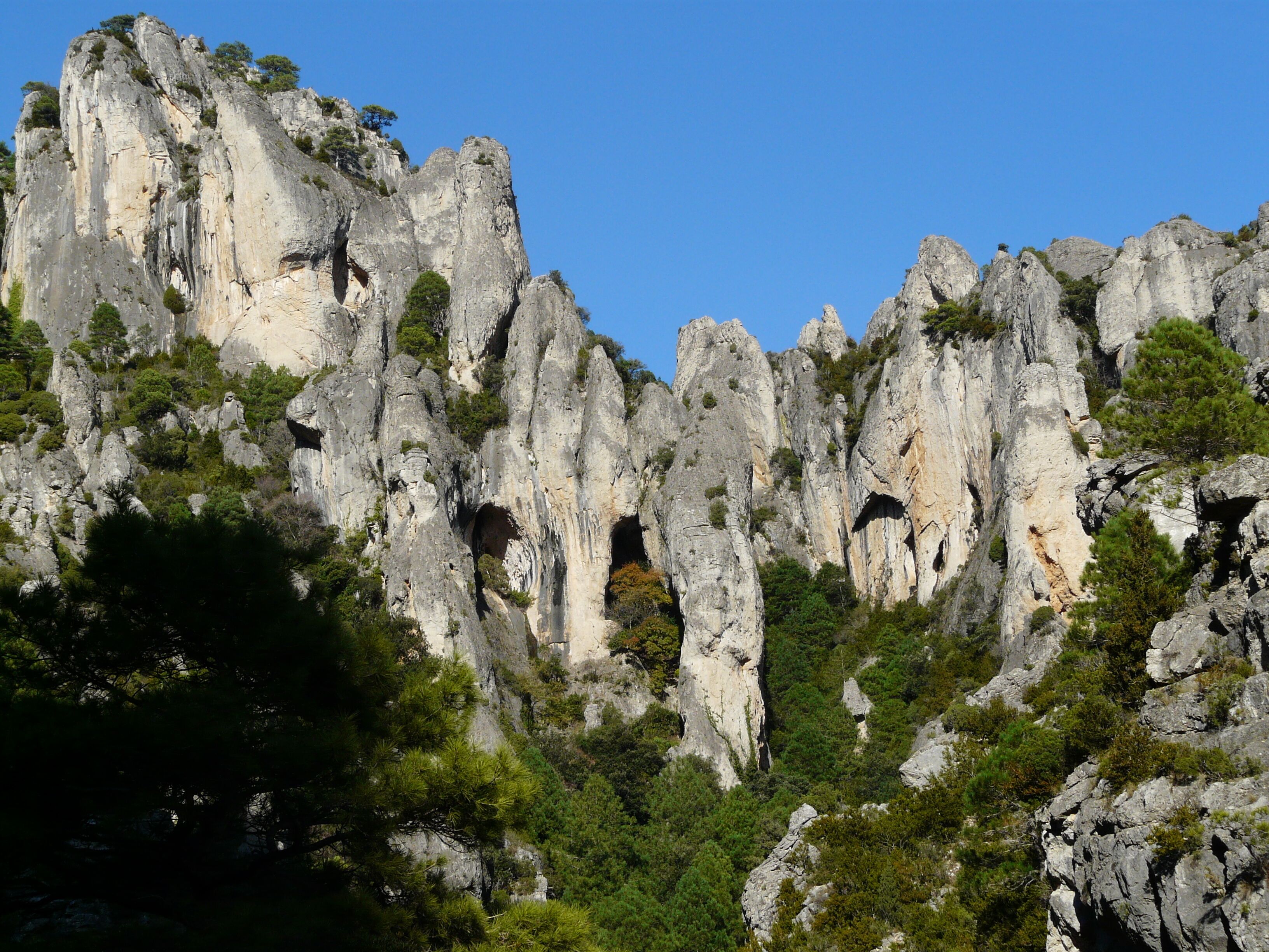 This is a a photo of a natural area in Catalonia, Spain, with id: