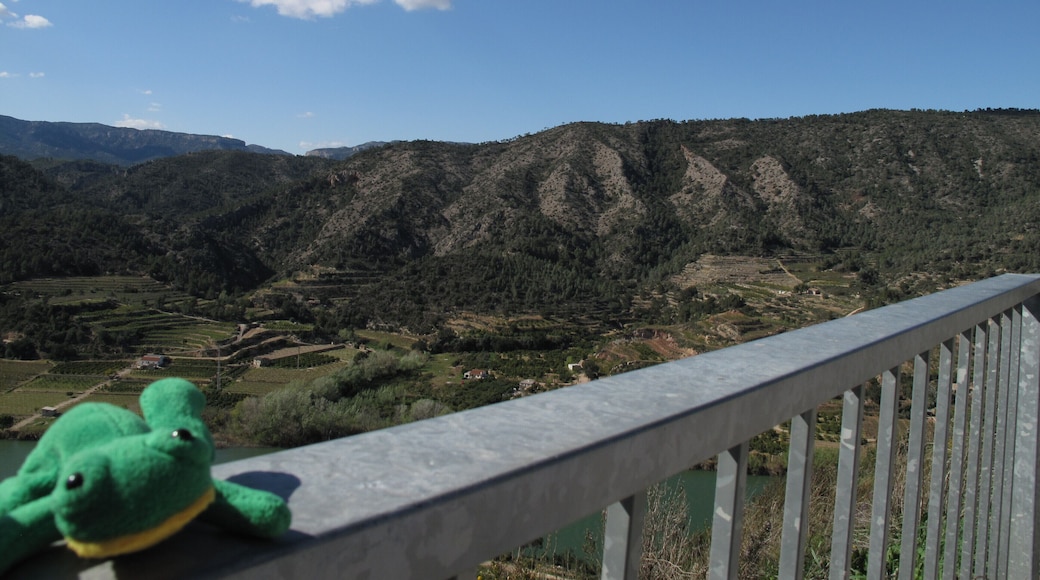 Tady se Žábě opravdu nelíbilo