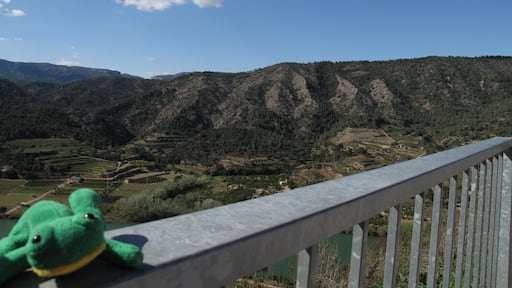 Tady se ĆœĂĄbÄ opravdu nelĂbilo