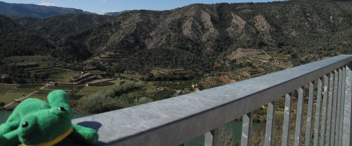 A green frog toy on a railing overlooking a mountainous landscape with terraced fields.