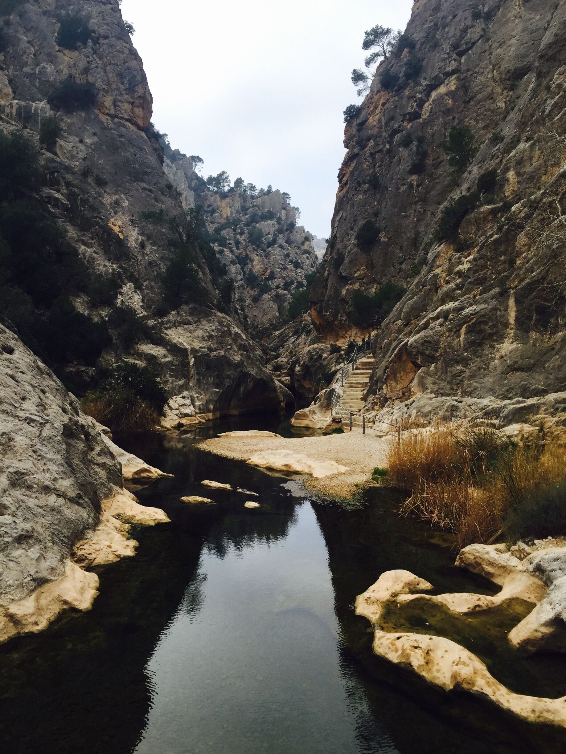 A narrow canyon with a clear water stream, rocky walls, and a staircase leading up.