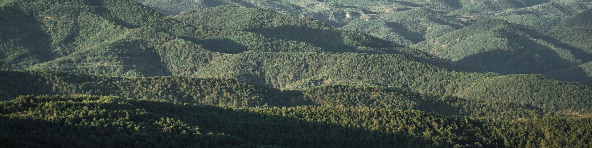 Burgui-Burgi, 31412, Navarre, Spain