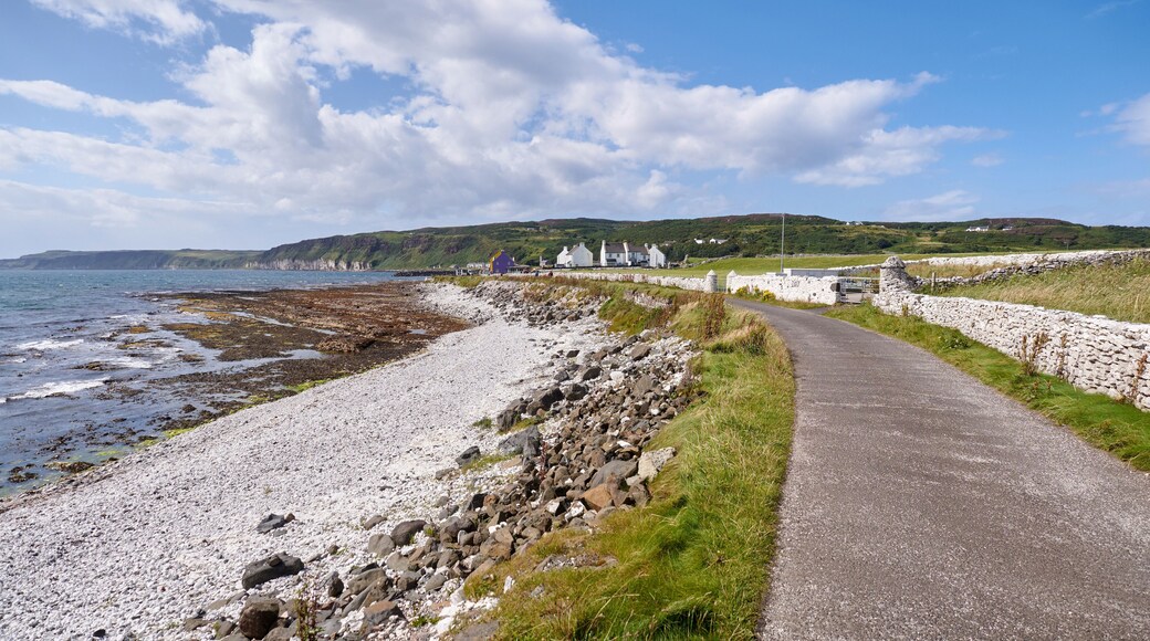 Rathlin Island
