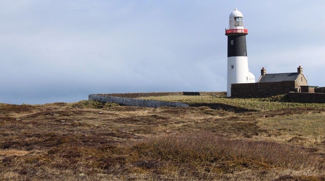 Had a beautiful day on Rathlin island with almost perfect weather conditions (no rain) ;) beautiful walks all over the island!