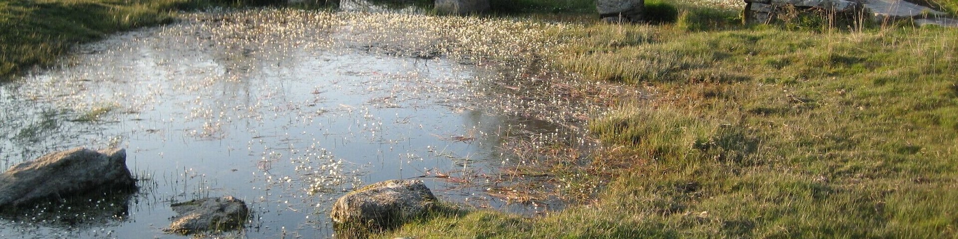 Puente sobre la ribera de Tudera –Zamora–.