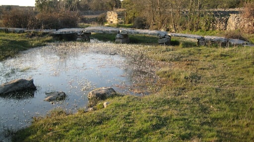 Puente sobre la ribera de Tudera –Zamora–.