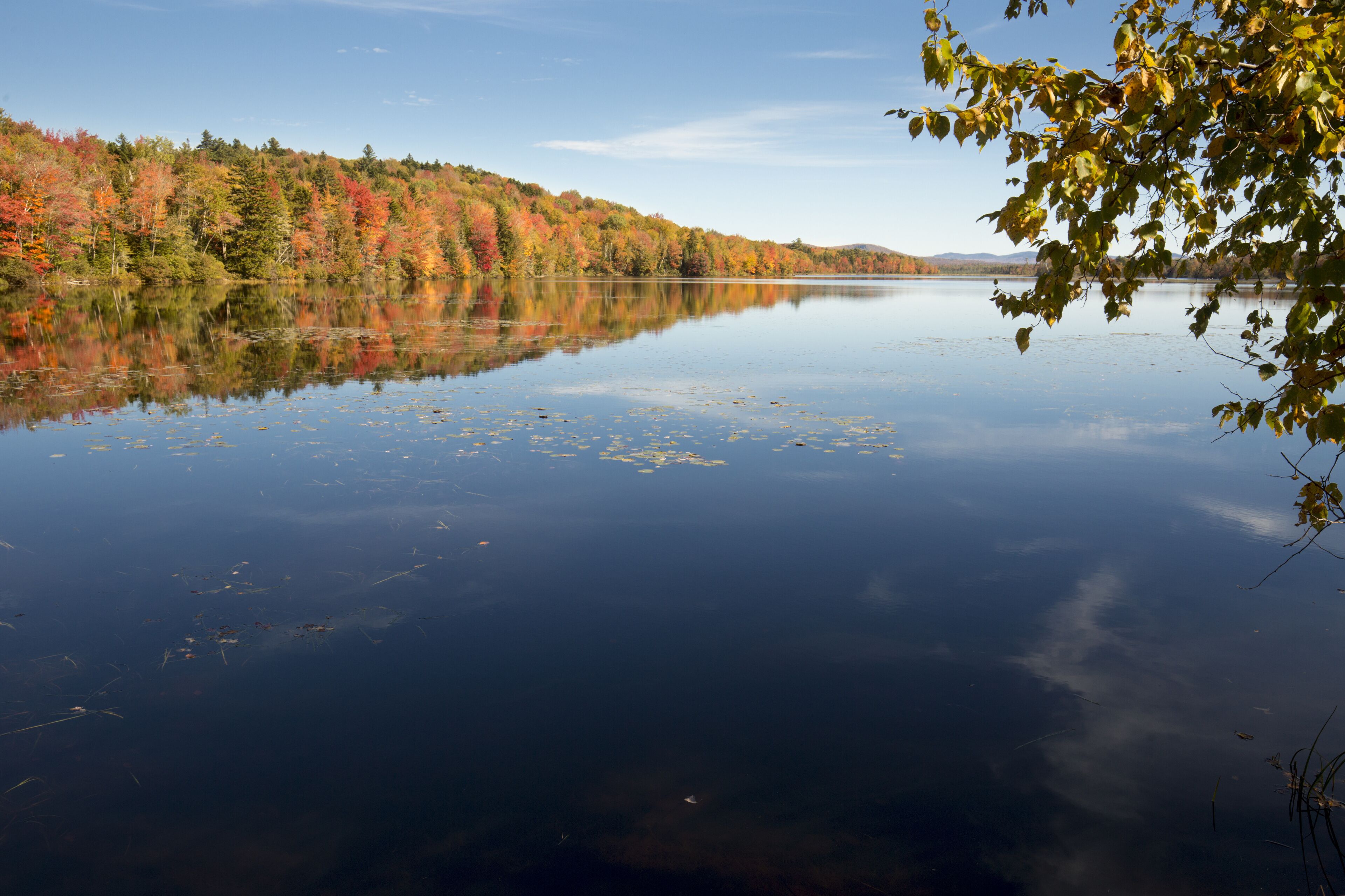 A calm lake surrounded by autumn-colored trees.