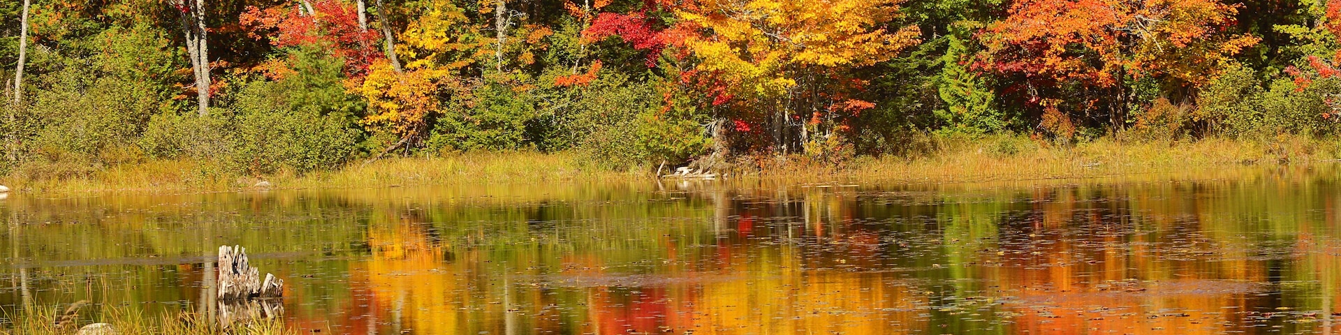 Fall colors along the Androscoggin River in Milan, New Hampshire.