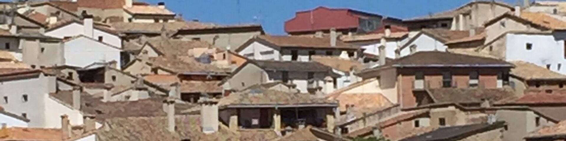 The Camino Way... for those who have done it or are thinking of doing this trek... as I life experience, it's right up there!