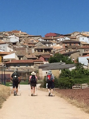 The Camino Way... for those who have done it or are thinking of doing this trek... as I life experience, it's right up there!