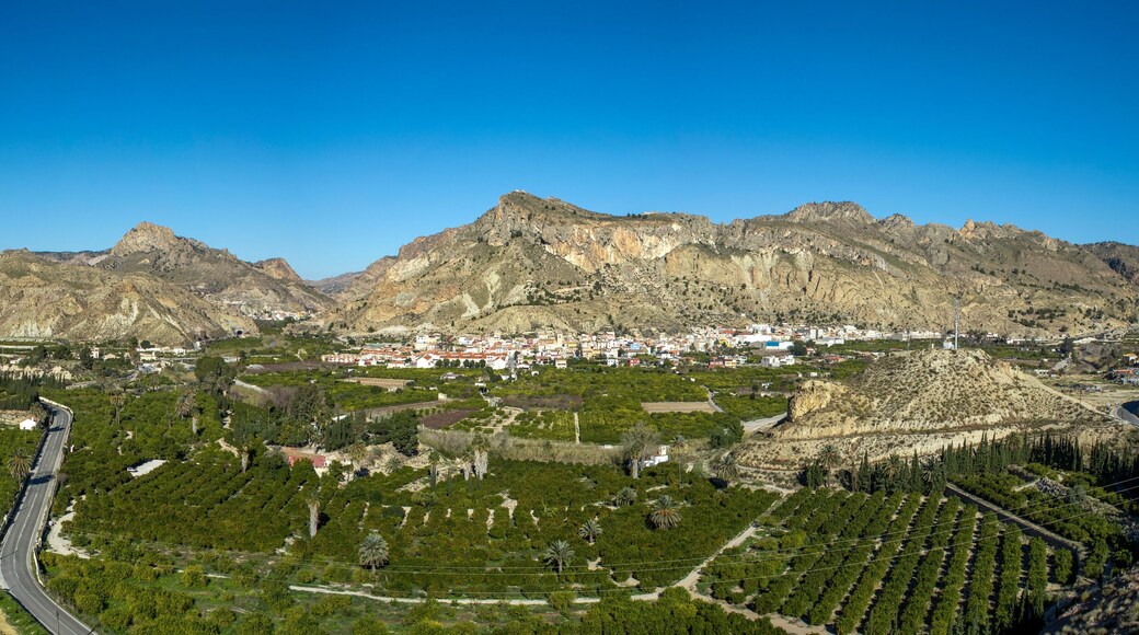 Panoramic view of part of the Ricote Valley with its orchard, the mountains and the town of Ulea in the background