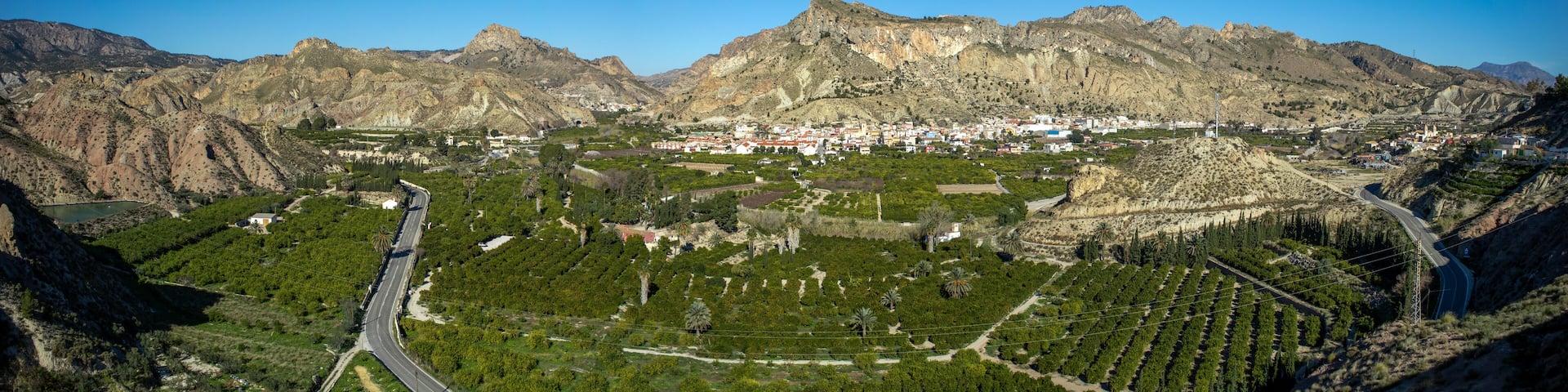 Panoramic view of part of the Ricote Valley with its orchard, the mountains and the town of Ulea in the background