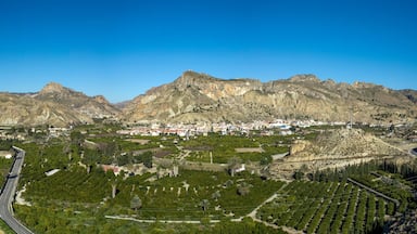 Panoramic view of part of the Ricote Valley with its orchard, the mountains and the town of Ulea in the background