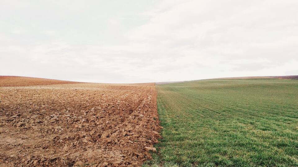 A field with a clear division between a plowed area and a grassy field.