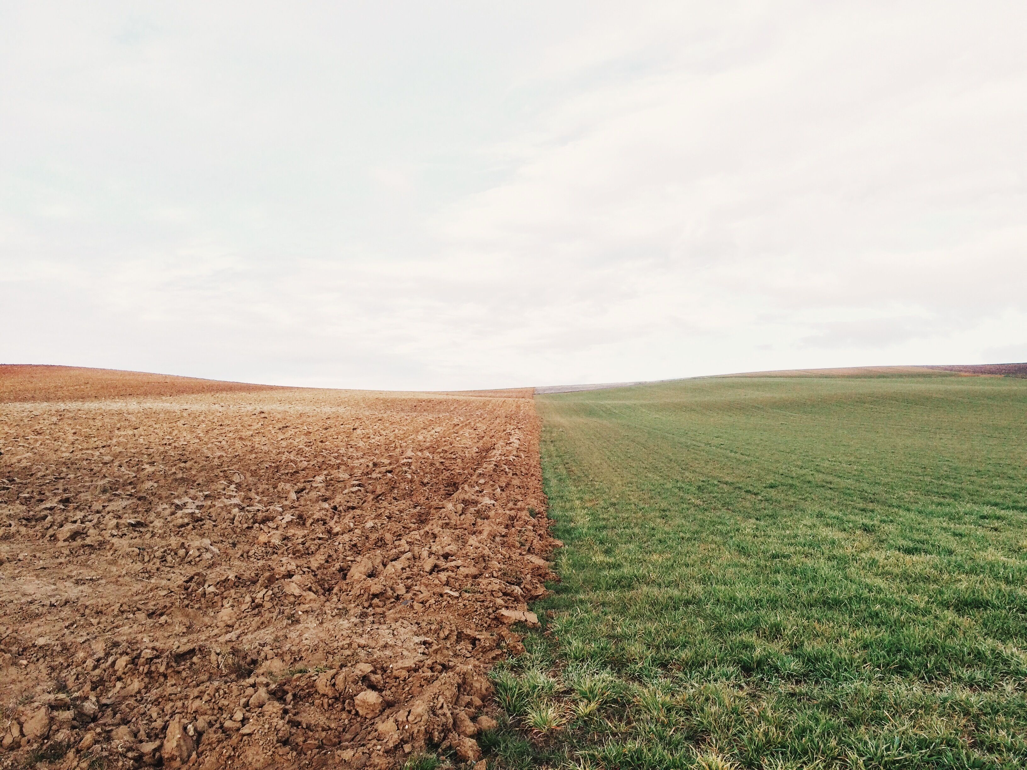 A field with a clear division between a plowed area and a grassy field.