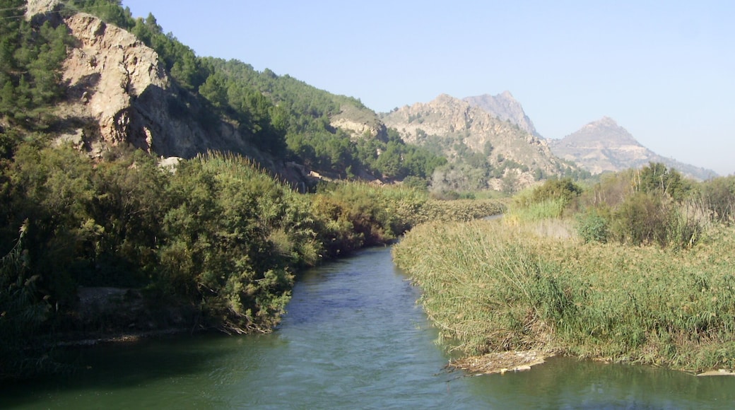 River Segura near Abaran - Murcia - Spain
