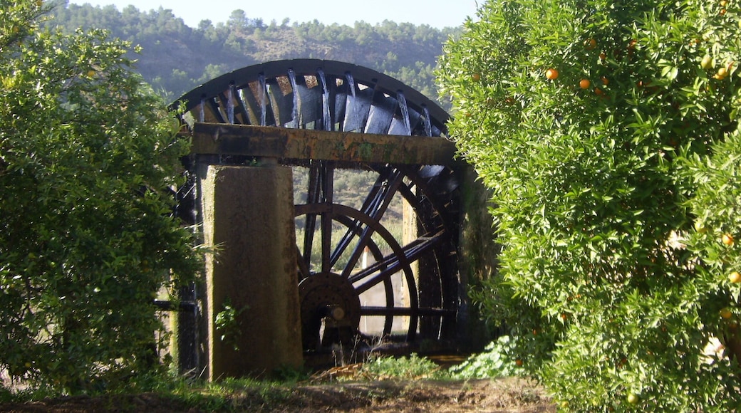 Waterwheel near Abaran - Murcia - Spain