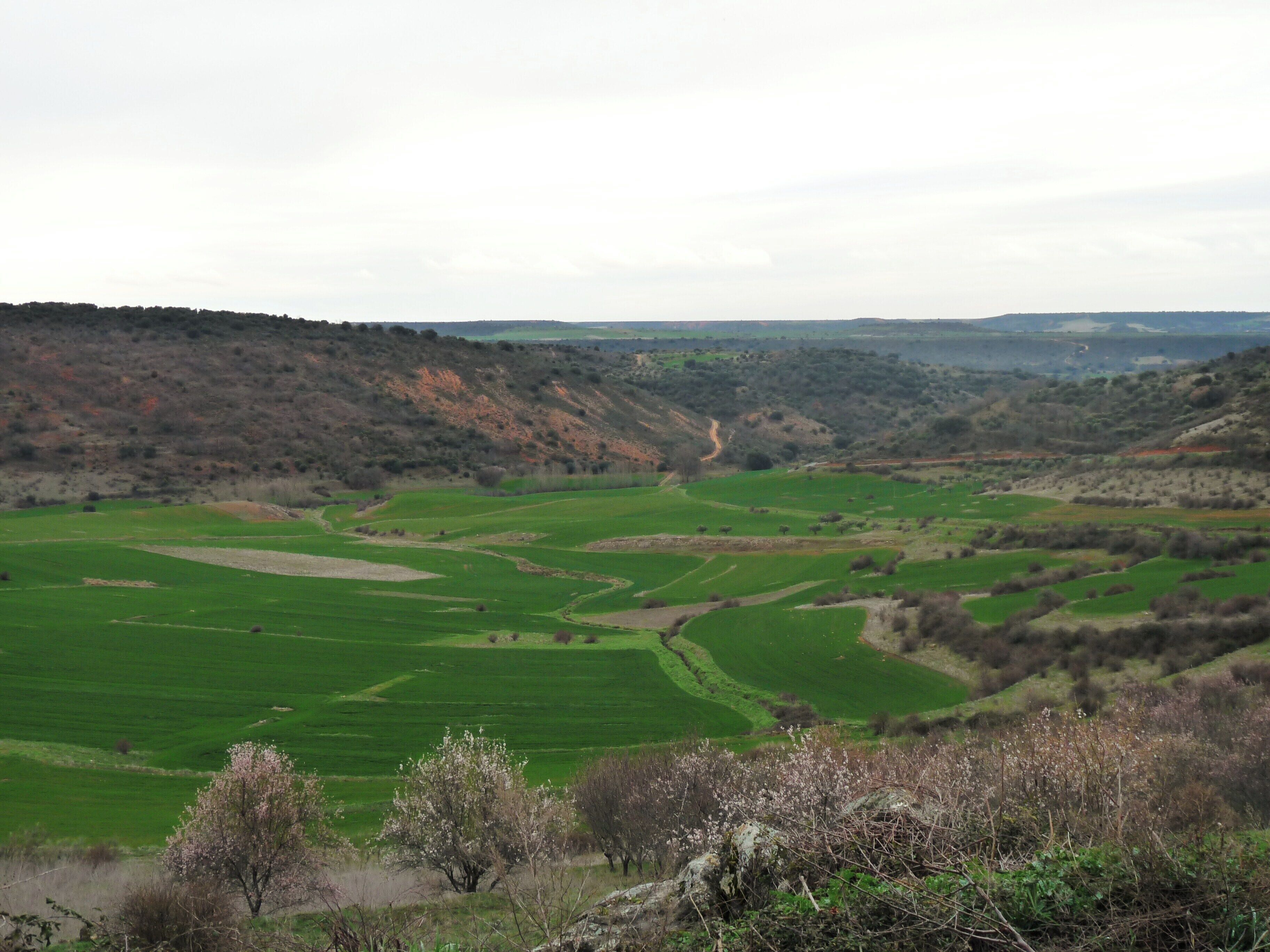 Landscape in Valdepeñas de la Sierra, Guadalajara, Castile-La Mancha, Spain.
