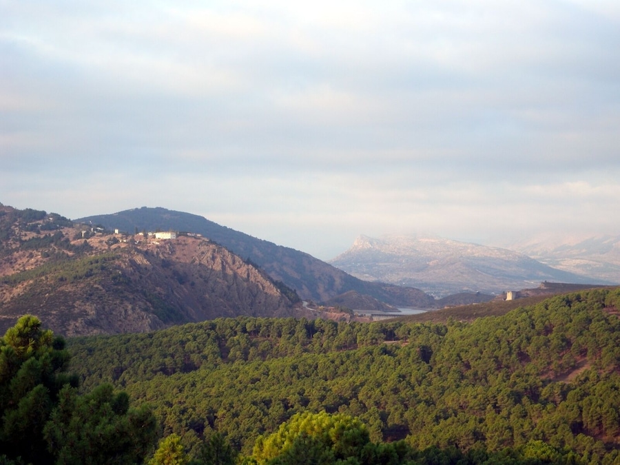 Vistas hacia el oeste: Pontón y Pico de la Miel