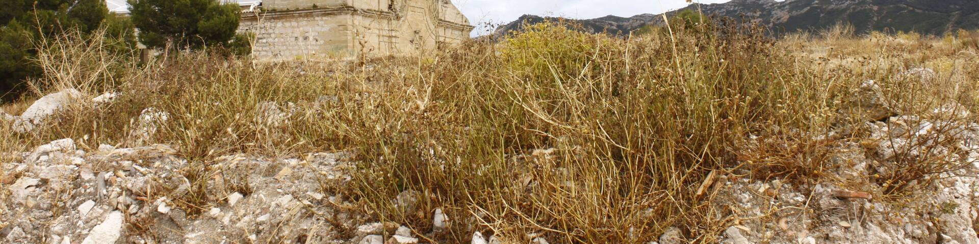 The Cathedral Sant Pere