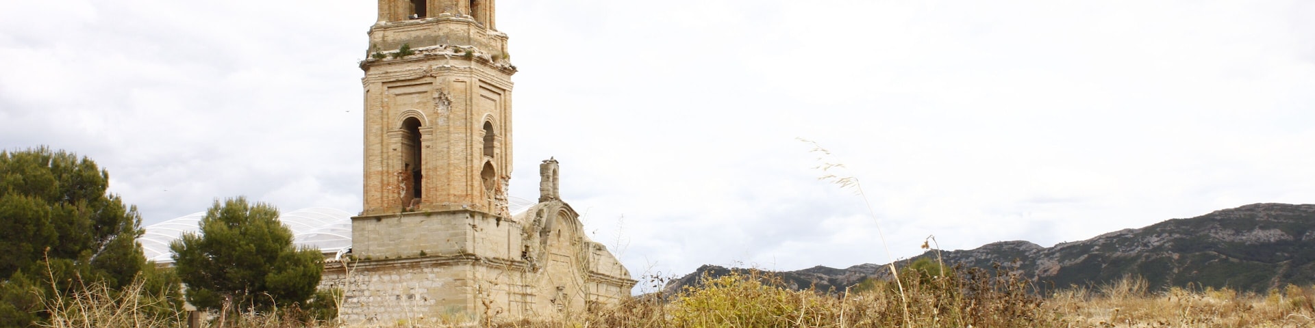 The Cathedral Sant Pere
