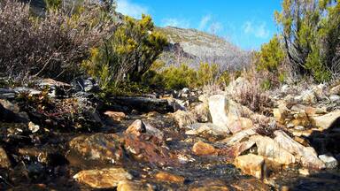 A rocky stream with clear water, surrounded by dry bushes and a mountain in the background.