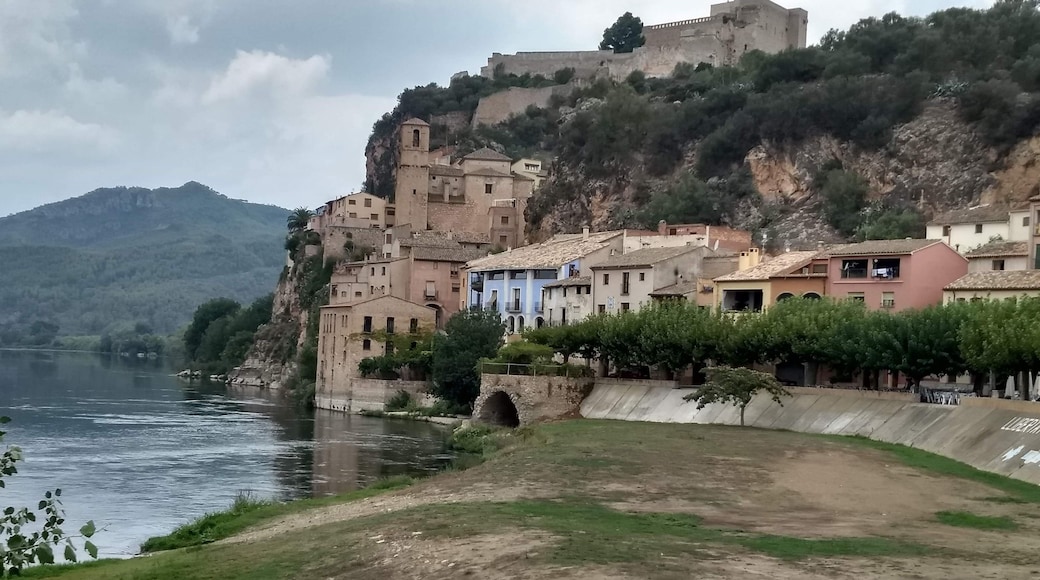 Nice village of Miravet