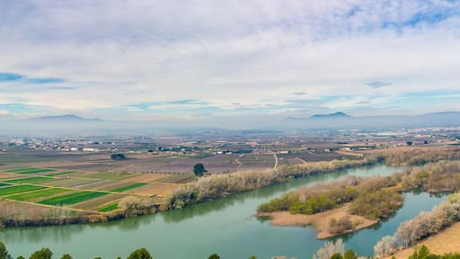 Mora d'Ebre