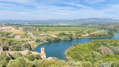 A river winding through a valley with vineyards, a tower, and distant mountains.