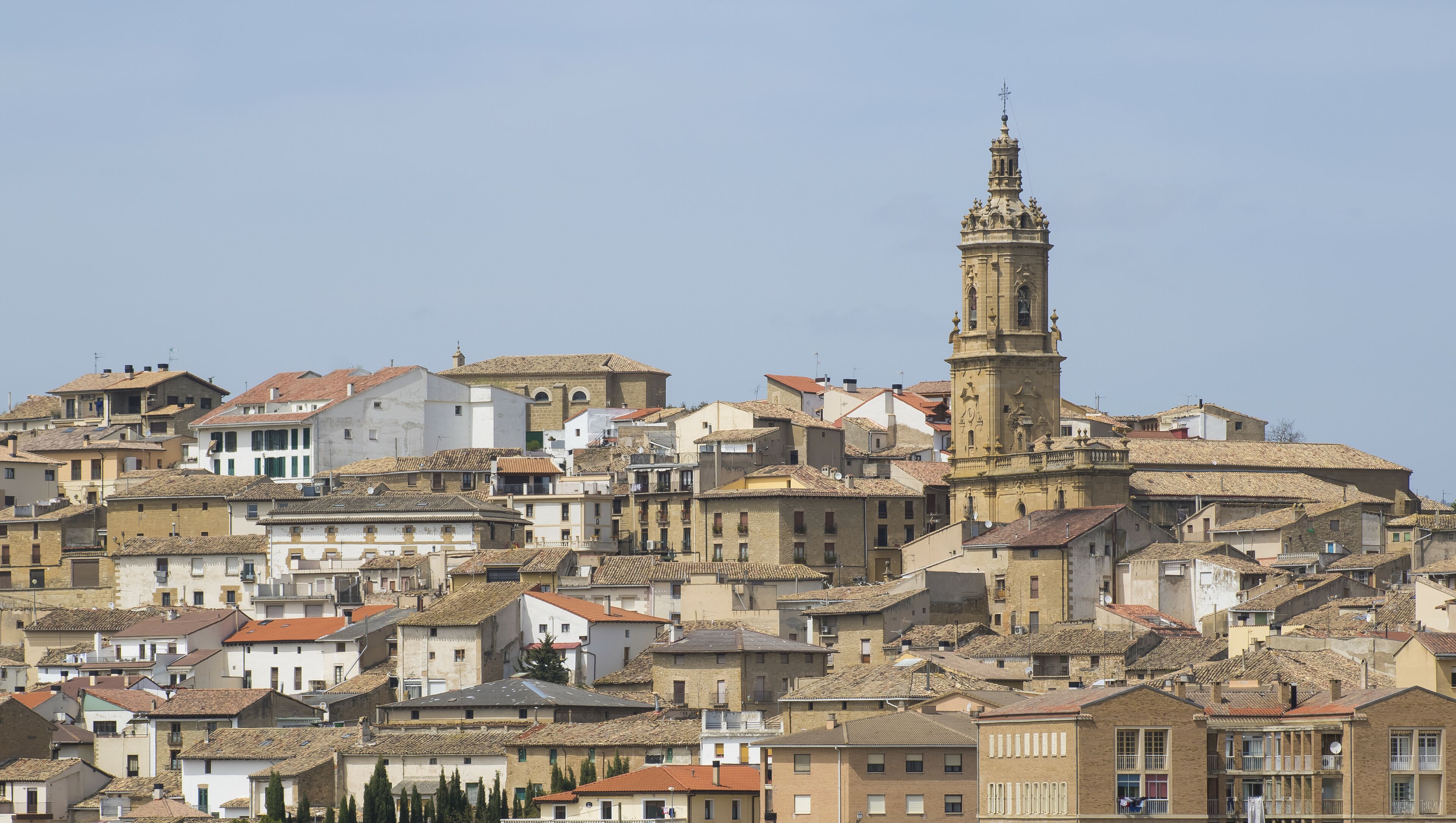 メンディゴリア