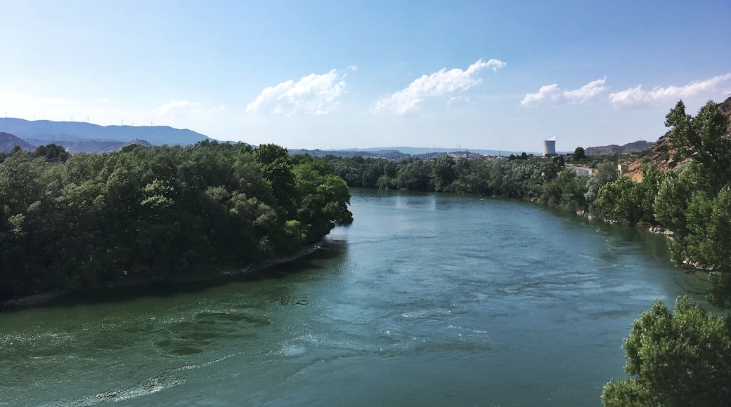 El pas de l'Ase és un congost del riu Ebre