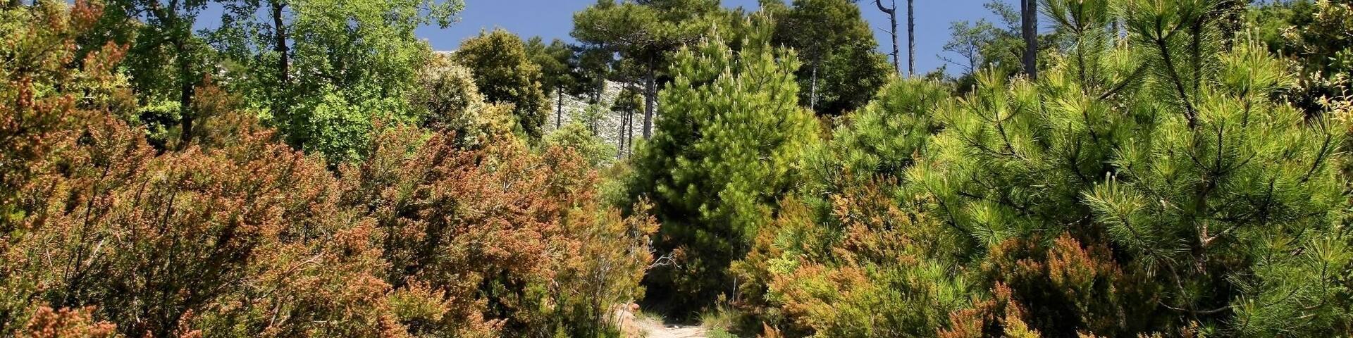 Serra de Llaberia (Tivissa, Tarragona, Spain)