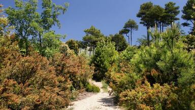 Serra de Llaberia (Tivissa, Tarragona, Spain)