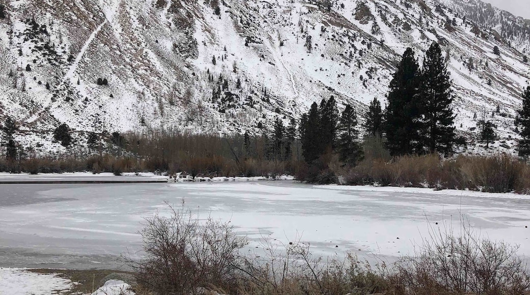 Nice little spot just outside of Bishop,Ca