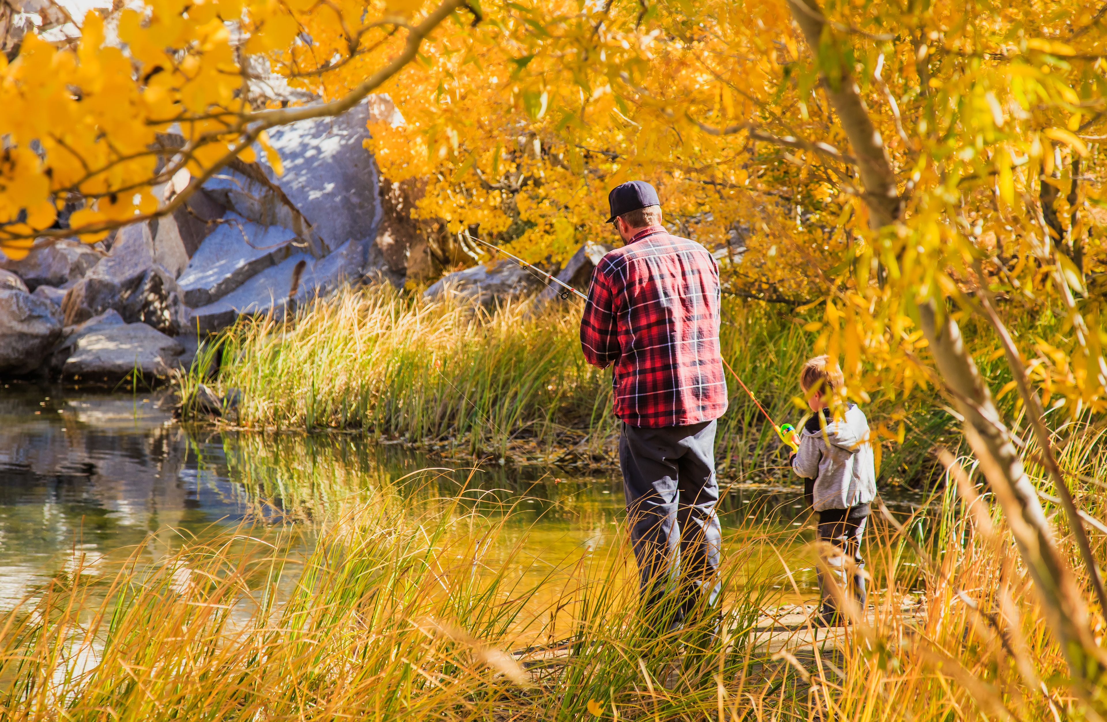 A person fishing by a river surrounded by autumn foliage.