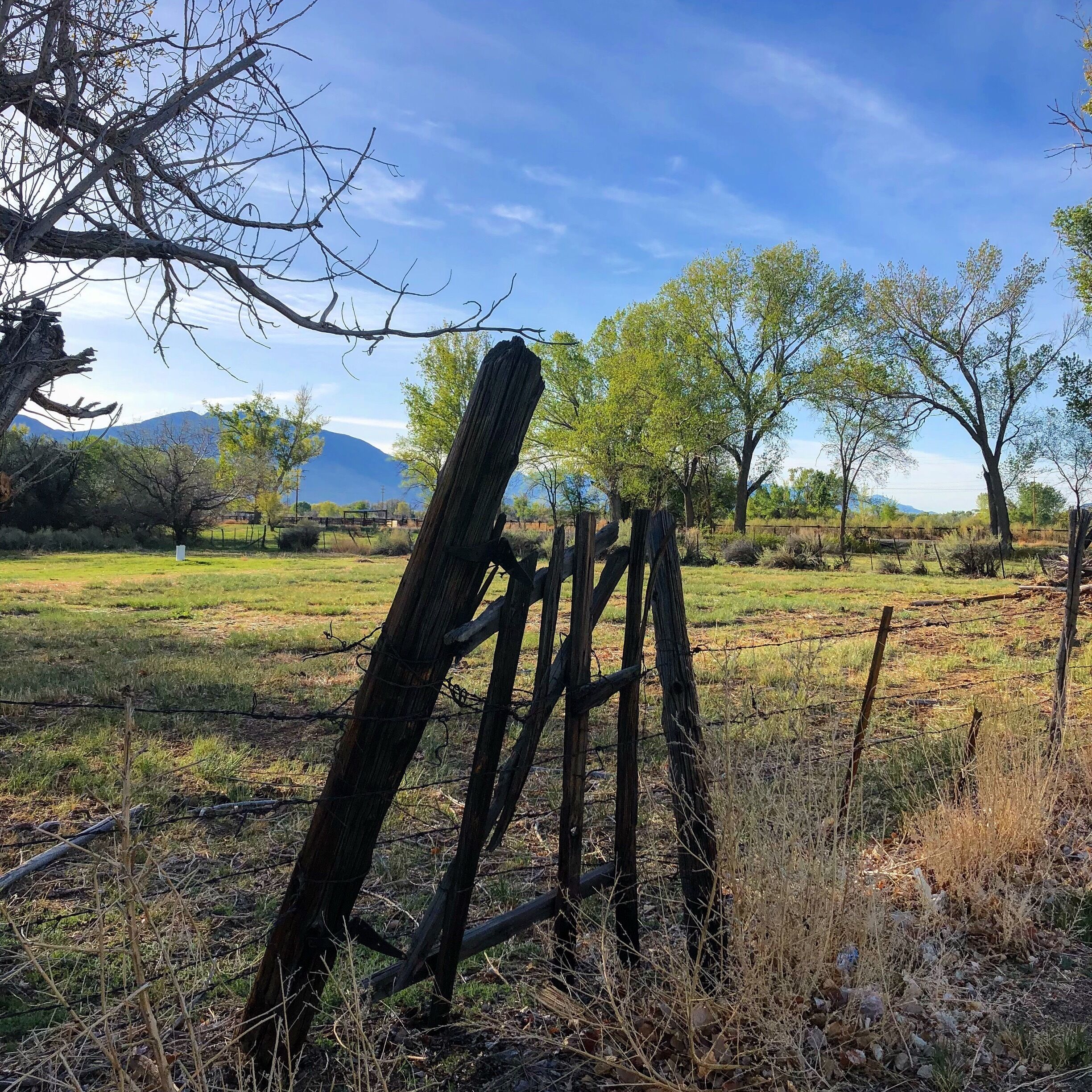 Just taking a stroll through Bishop Ca. Beautiful town, and a great basecamp for miles and miles of trails and terrific Petroglyphs. 