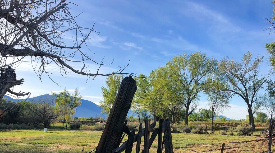 Just taking a stroll through Bishop Ca. Beautiful town, and a great basecamp for miles and miles of trails and terrific Petroglyphs.