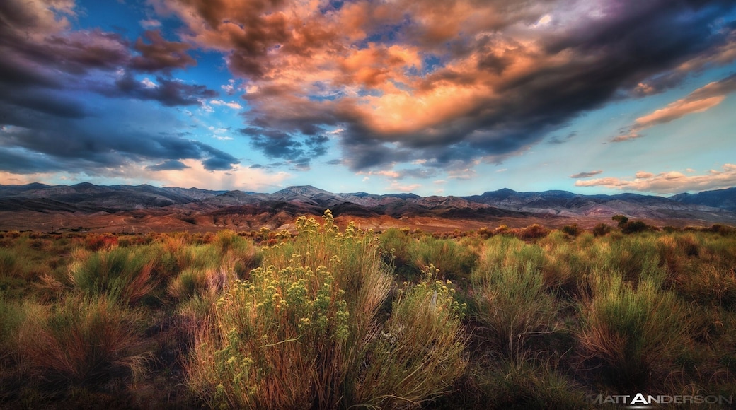 A beautiful evening amongst the sagebrush, White Mountains, and dramatic skies at sunset. Located just outside of Bishop on Owens river.
