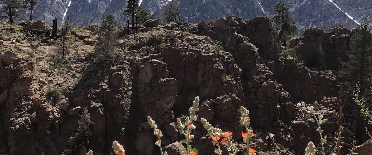 A mountainous landscape with rocky terrain and sparse vegetation, including red flowers in the foreground.