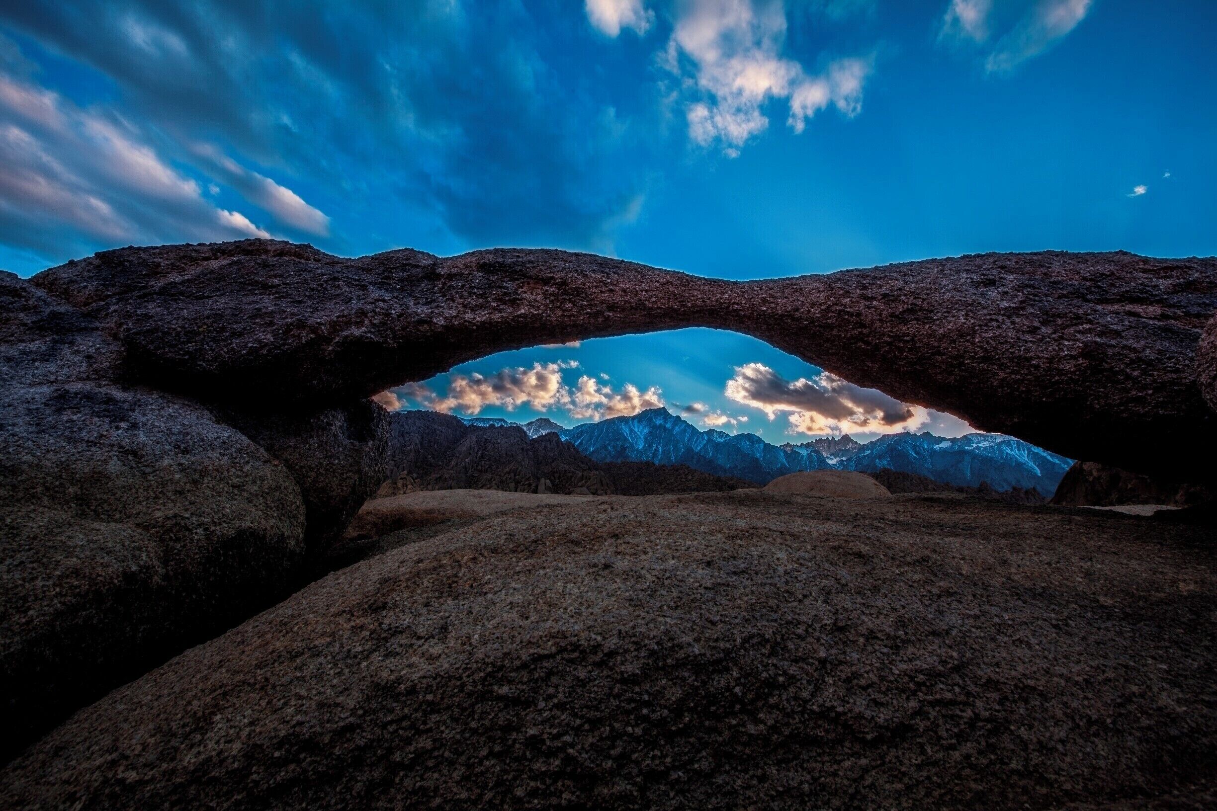 alrabama hill morbis