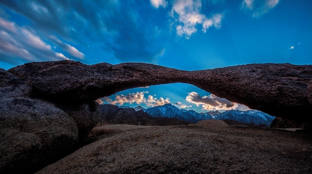 alrabama hill morbis