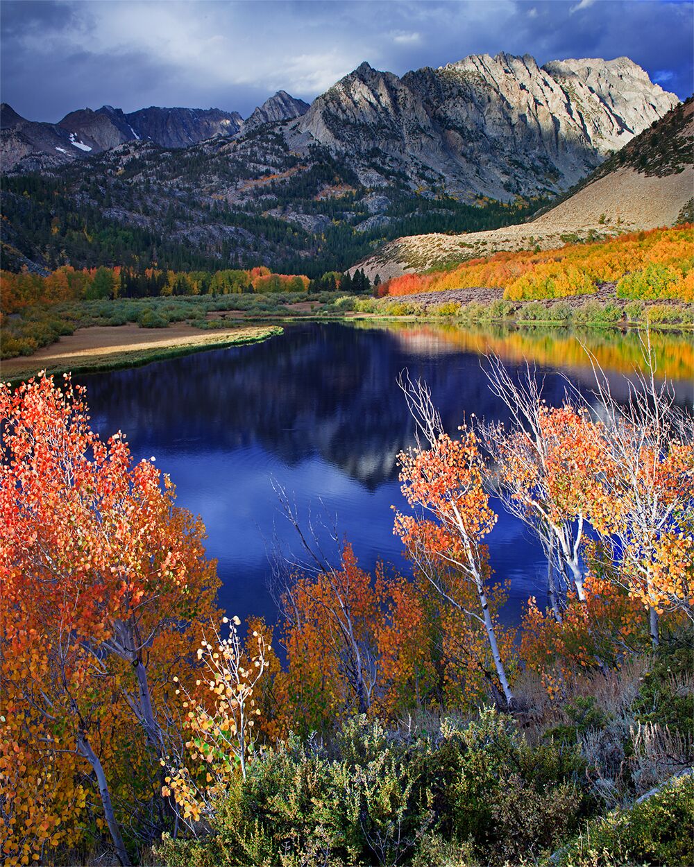 Autumn displays of #colorful aspens turning to various bright colors in North Lake.  The area is a photographer's heaven.