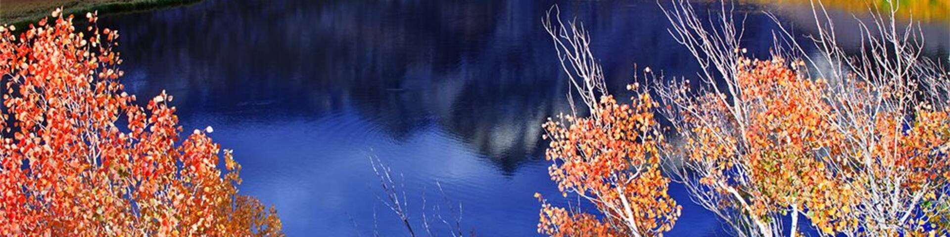 Autumn displays of #colorful aspens turning to various bright colors in North Lake. The area is a photographer's heaven.