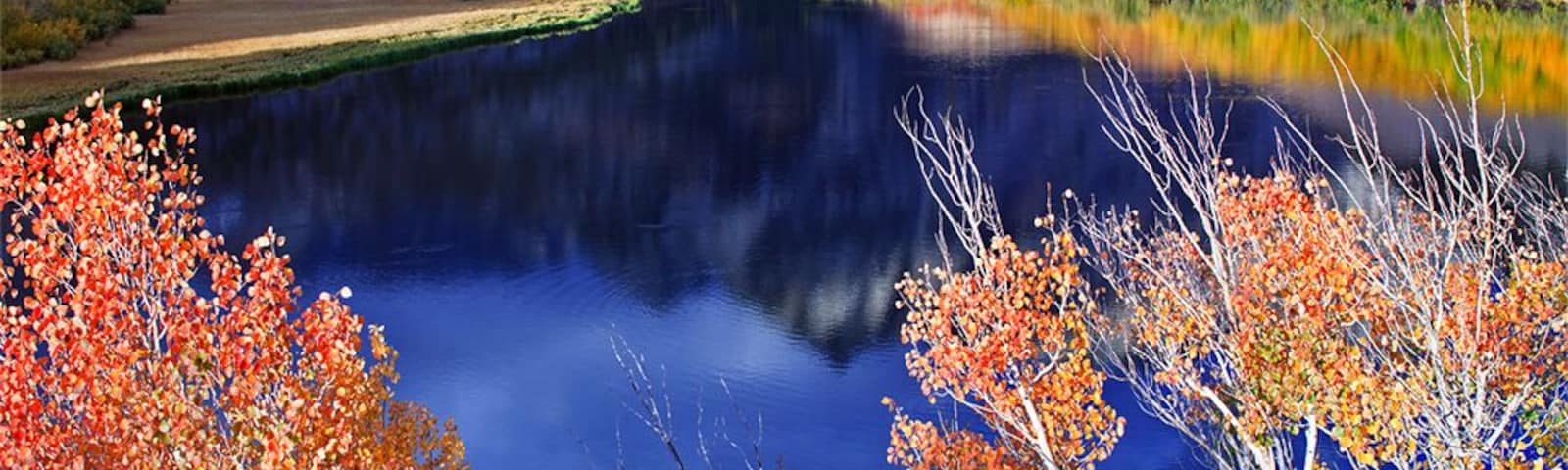 Autumn displays of #colorful aspens turning to various bright colors in North Lake. The area is a photographer's heaven.