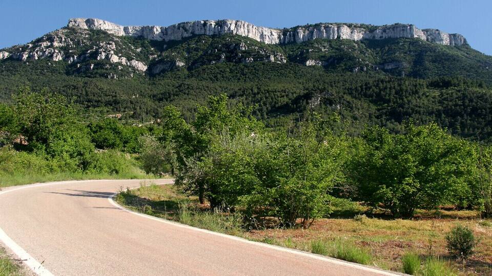 A winding road with a mountainous backdrop and dense greenery.