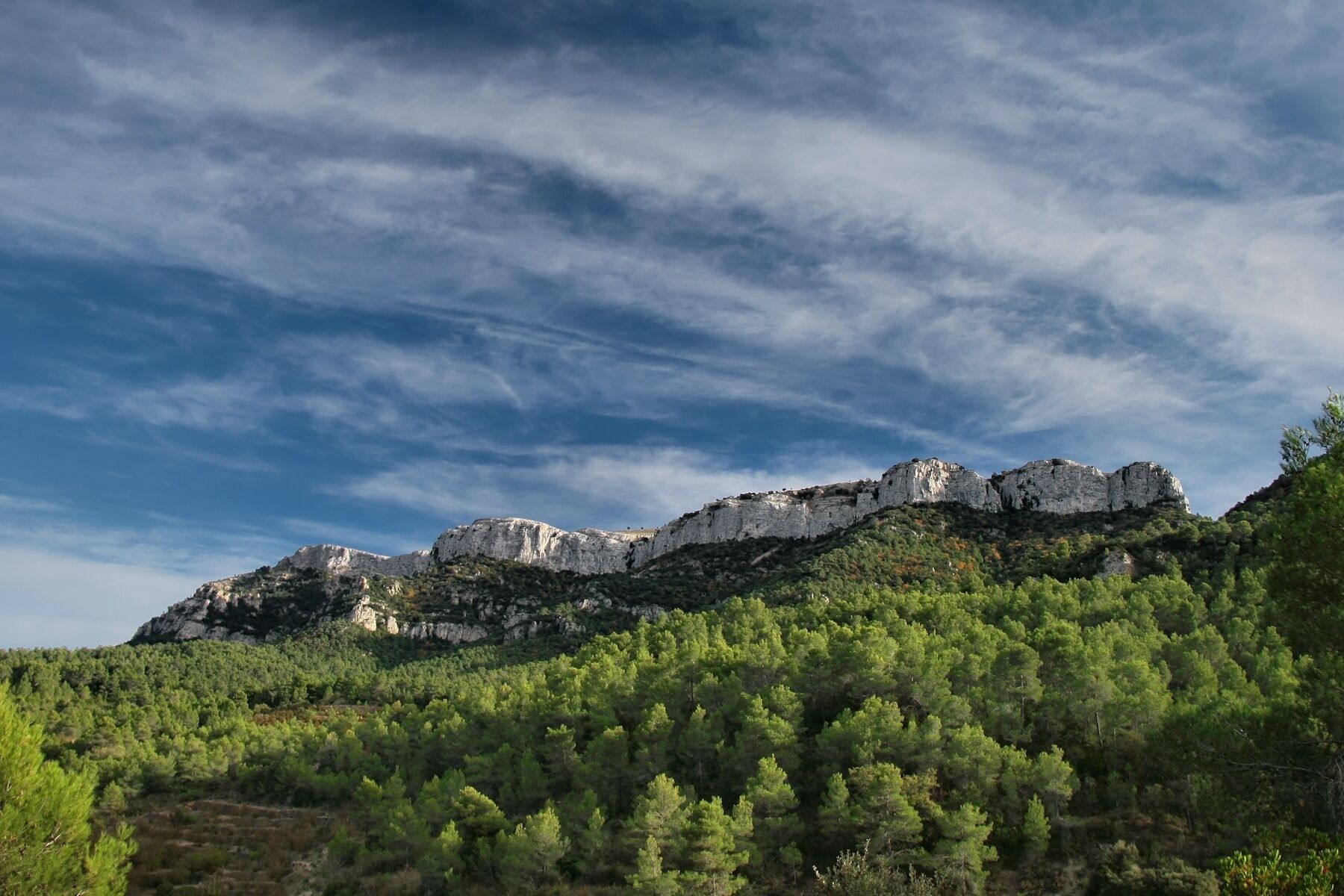A mountainous landscape with rocky cliffs and dense green forest.
