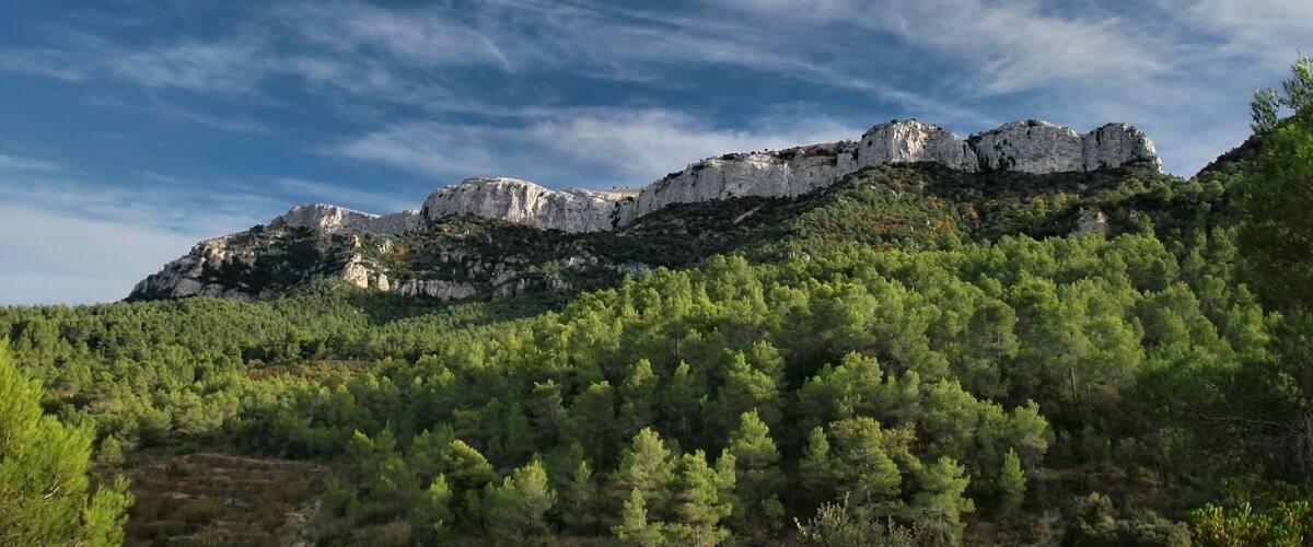 A mountainous landscape with rocky cliffs and dense green forest.