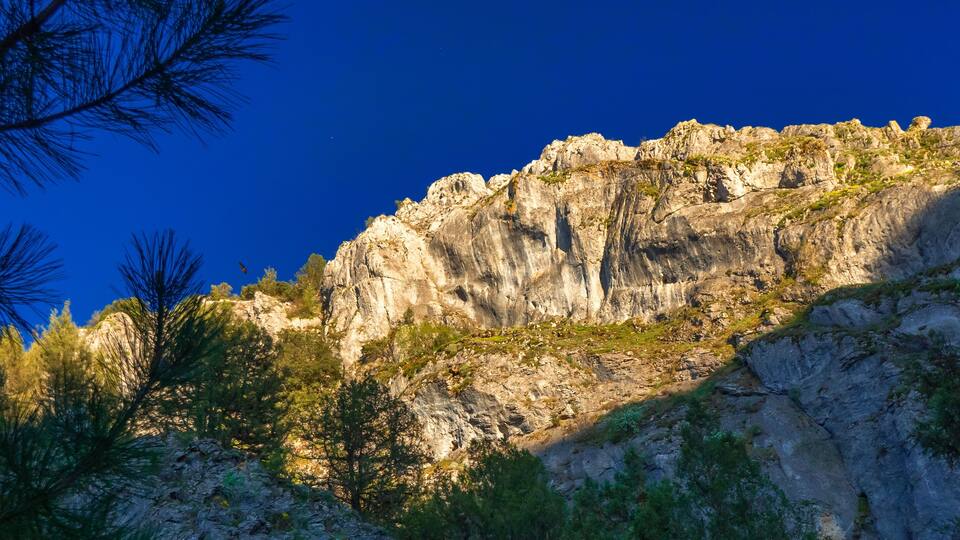 A rocky mountain with sparse vegetation and pine trees.